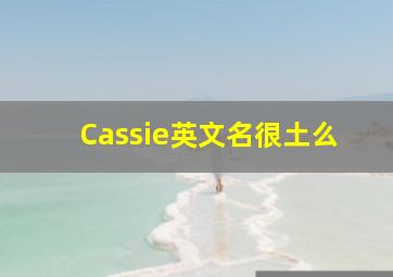 Cassie英文名很土么