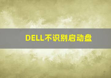 DELL不识别启动盘