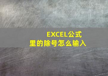 EXCEL公式里的除号怎么输入