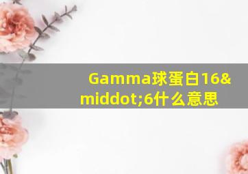 Gamma球蛋白16·6什么意思