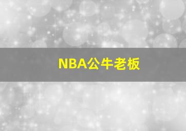 NBA公牛老板