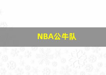 NBA公牛队