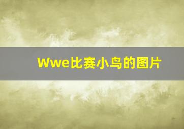 Wwe比赛小鸟的图片