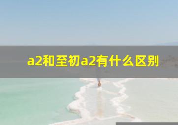 a2和至初a2有什么区别