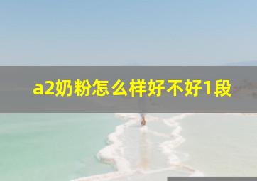 a2奶粉怎么样好不好1段