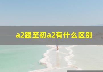 a2跟至初a2有什么区别