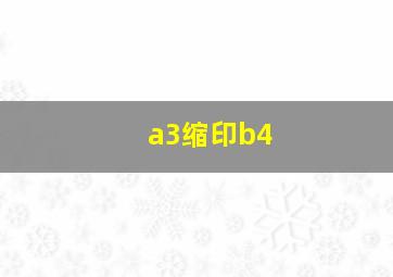 a3缩印b4