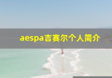 aespa吉赛尔个人简介