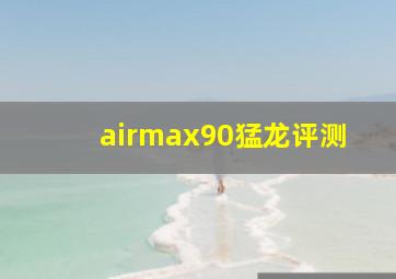 airmax90猛龙评测