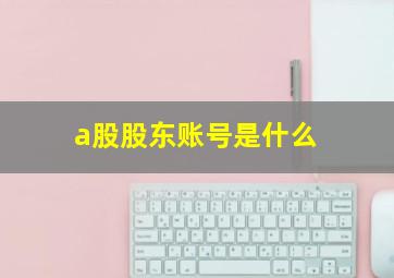 a股股东账号是什么