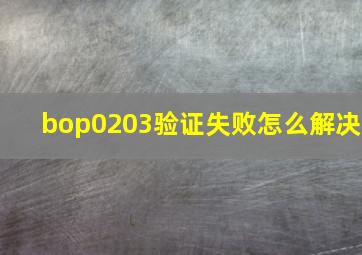 bop0203验证失败怎么解决