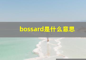 bossard是什么意思