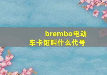 brembo电动车卡钳叫什么代号