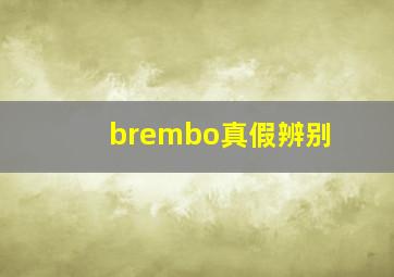 brembo真假辨别