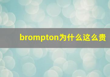 brompton为什么这么贵