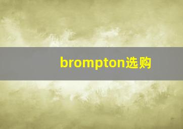 brompton选购