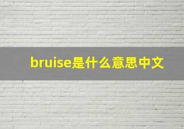 bruise是什么意思中文