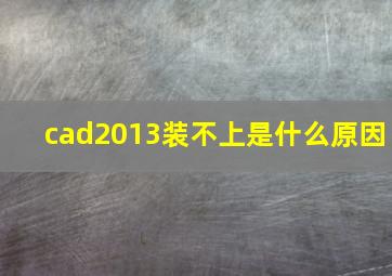 cad2013装不上是什么原因