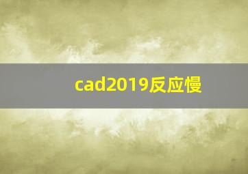 cad2019反应慢