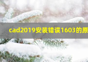 cad2019安装错误1603的原因