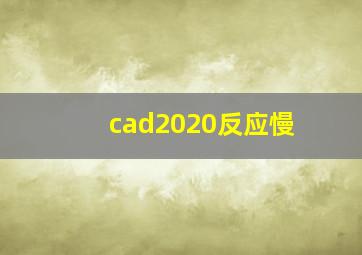 cad2020反应慢