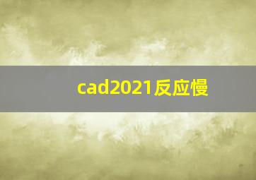 cad2021反应慢