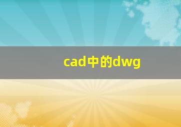 cad中的dwg