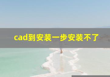 cad到安装一步安装不了