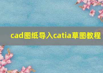 cad图纸导入catia草图教程