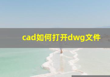 cad如何打开dwg文件