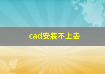 cad安装不上去