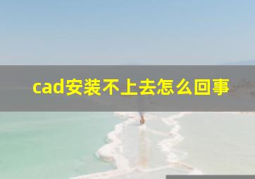 cad安装不上去怎么回事