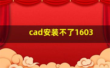 cad安装不了1603