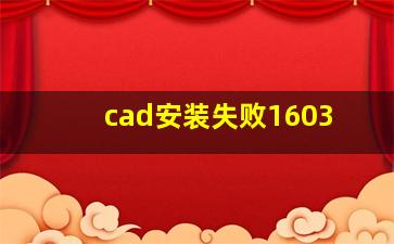 cad安装失败1603