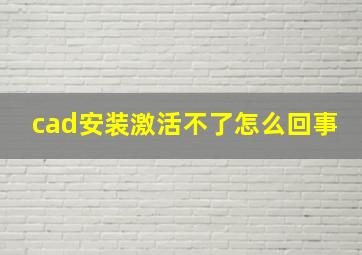 cad安装激活不了怎么回事