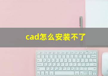 cad怎么安装不了