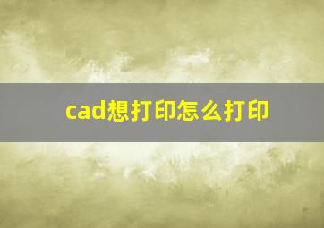 cad想打印怎么打印