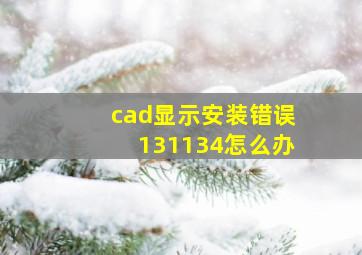 cad显示安装错误131134怎么办