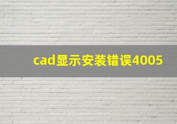 cad显示安装错误4005