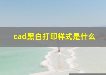 cad黑白打印样式是什么