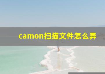 camon扫描文件怎么弄