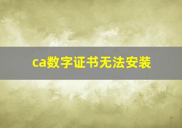 ca数字证书无法安装