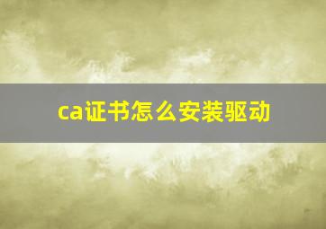 ca证书怎么安装驱动