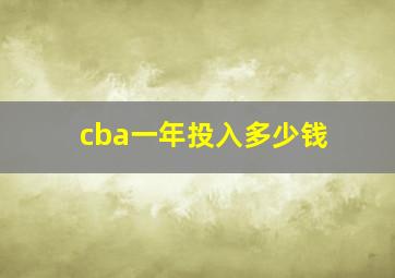 cba一年投入多少钱