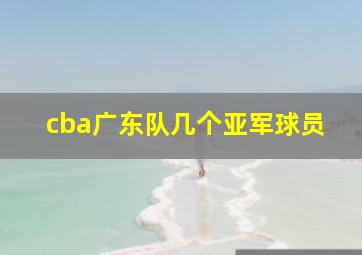 cba广东队几个亚军球员