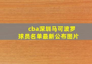 cba深圳马可波罗球员名单最新公布图片