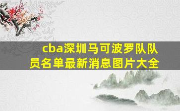 cba深圳马可波罗队队员名单最新消息图片大全