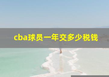 cba球员一年交多少税钱