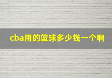 cba用的篮球多少钱一个啊