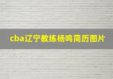 cba辽宁教练杨鸣简历图片